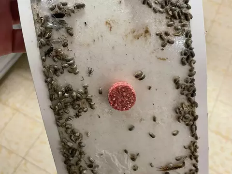 Уникальное явление